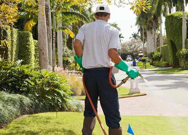 About Portage UT Pest Control